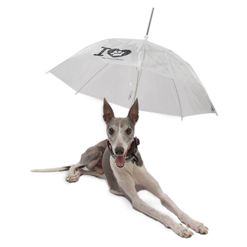 Guarda-chuva para Pet’s