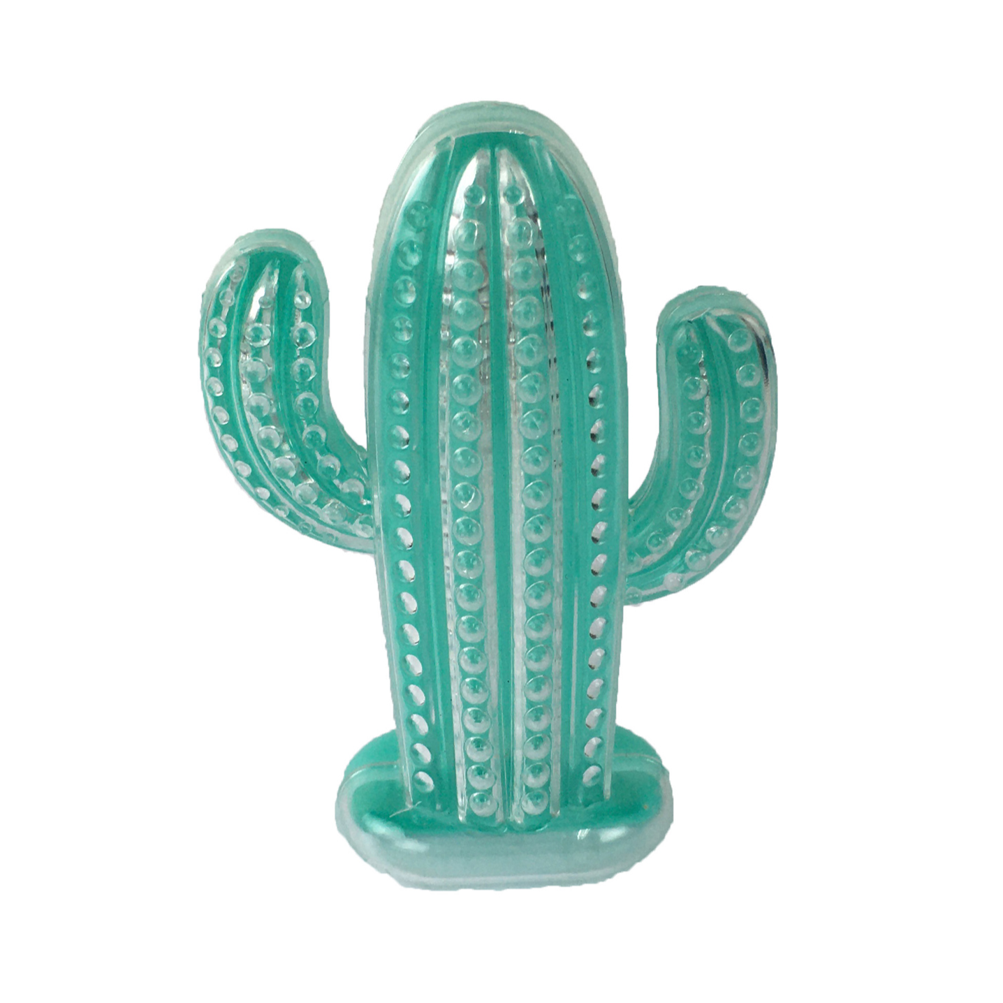 Baleiro Cactus
